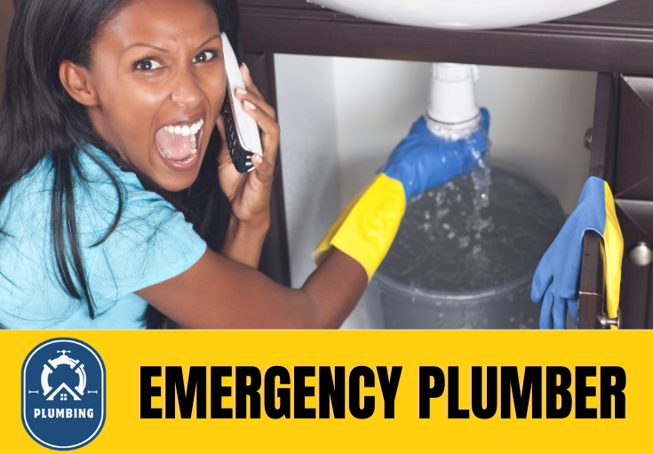 emergency plumber Bingley