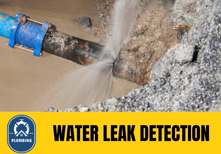 leak detection Bingley