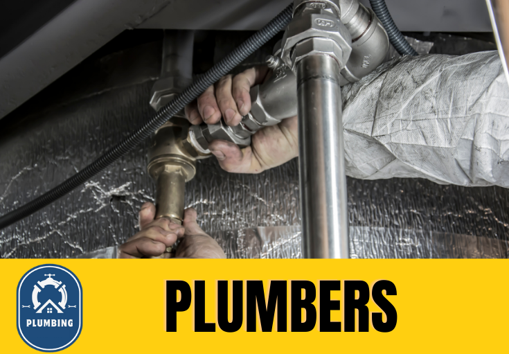  plumber Ryshworth